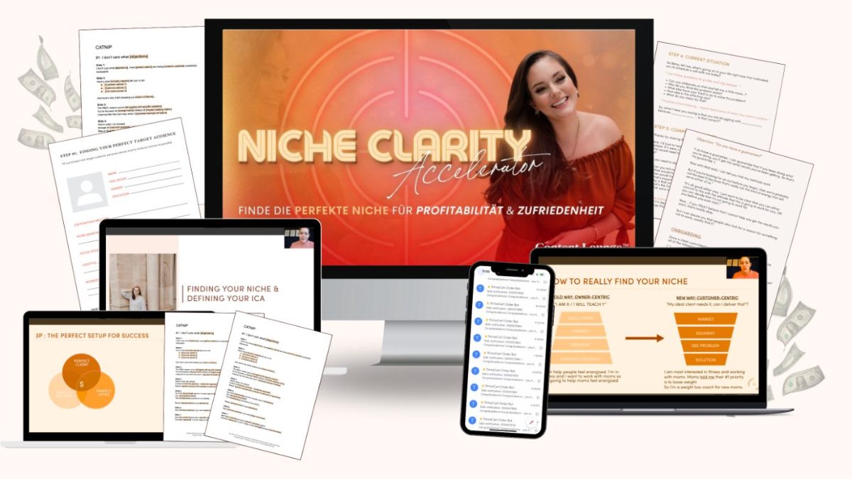 Niche Clarity Accelerator — course mockup